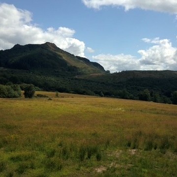 The View